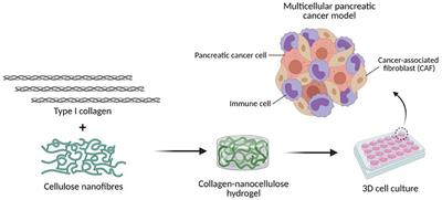 3D Collagen-Nanocellulose Matrices Model the Tumour Microenvironment of Pancreatic Cancer